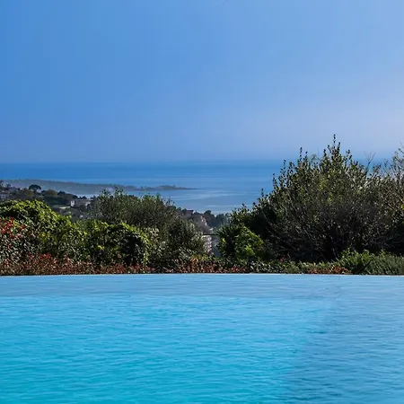 Infinity Pool